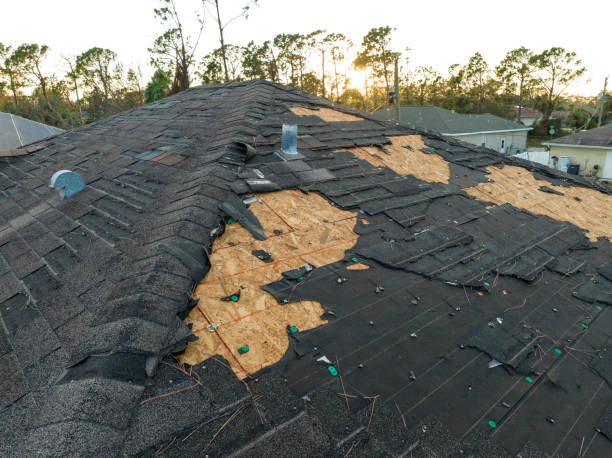 Best Roof Installation  in Necedah, WI