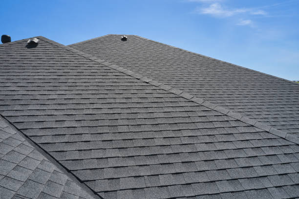Best Hot Roofs  in Necedah, WI